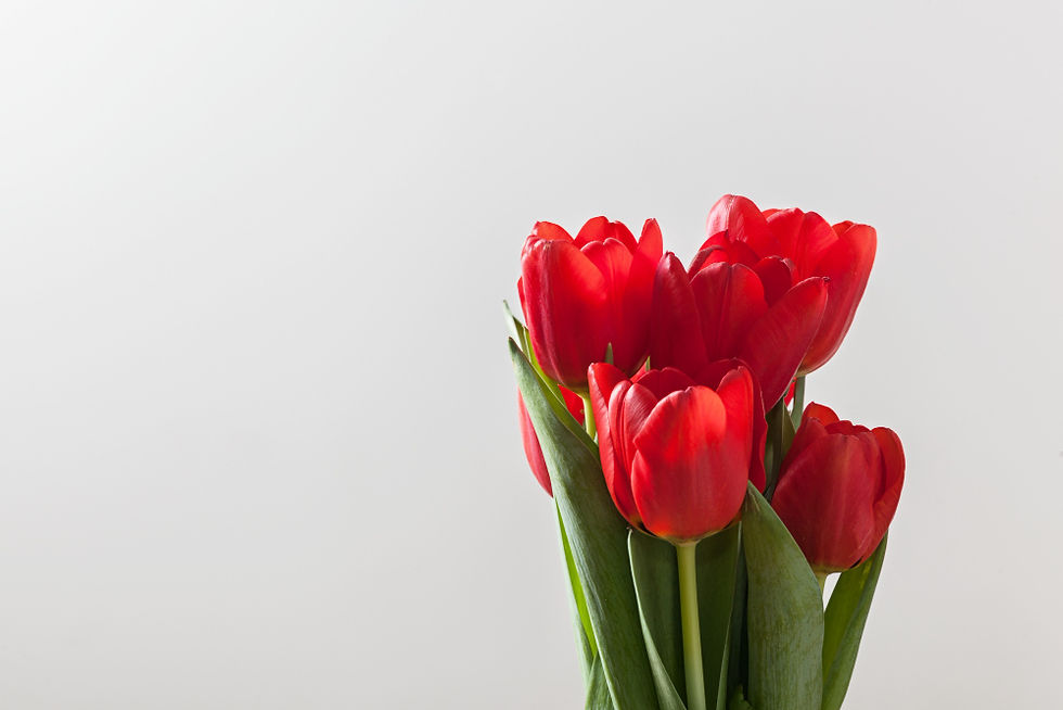 Tulip Bouquet Singapore