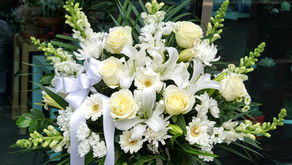 Which Condolences Flower colours represent peace and comfort