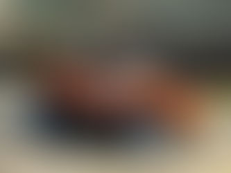 Meyers Manx Dune Buggy scale 1:8 Finemodelcars