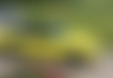 Porsche 911 oil flap