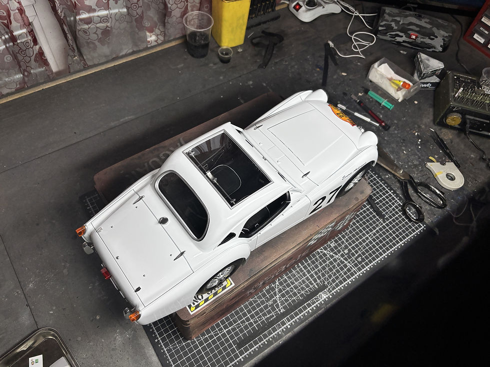 Triumph Sports 20 TR2 scale 1:8