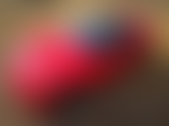 Ferrari 599 GTO scale 1:8 Amalgam