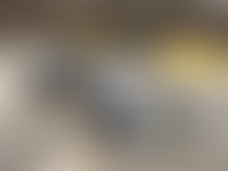 Lotus F1 72D Emerson Fittipaldi scale 1:8 Pocher