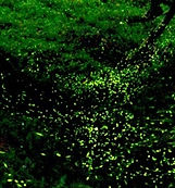 1395037682038-1_edited.jpg