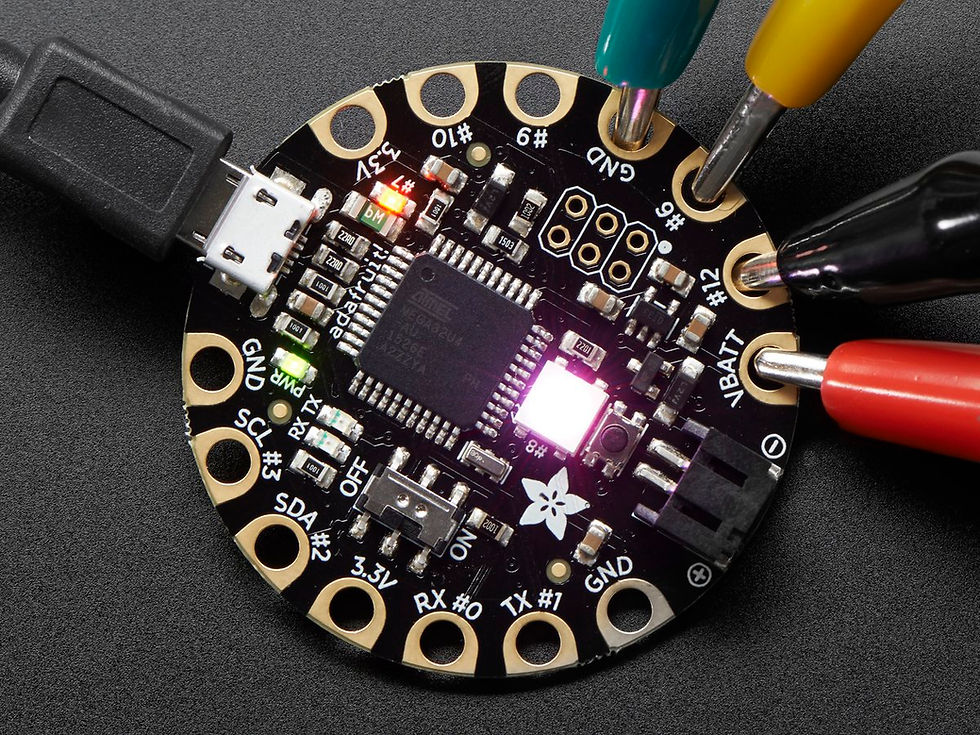 Adafruit Flora