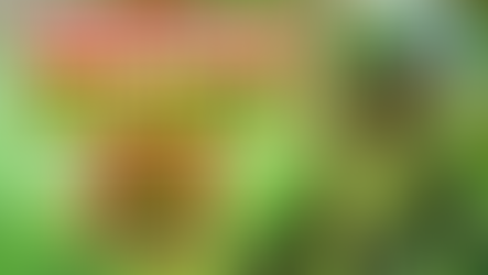 What's in Hero Wars Leprecat Dolls?