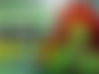 Byrna Boss Fights - Complete Guide