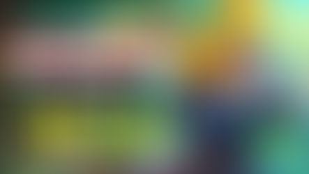 Goose Festival - Complete Boss Guide