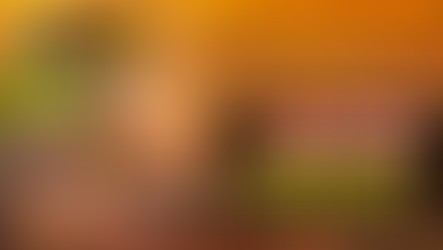 Secret Wealth Shop Best Buys