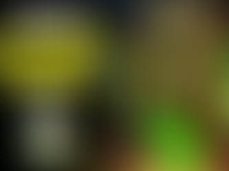 Avalon Brawl Shop Guide: The Best and Worst Buys