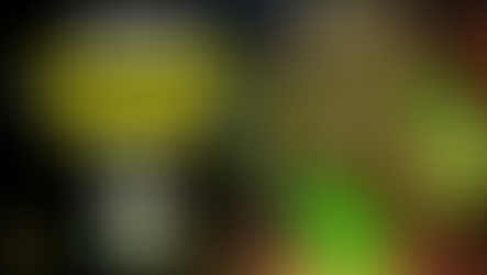 Avalon Brawl Shop Guide: The Best and Worst Buys