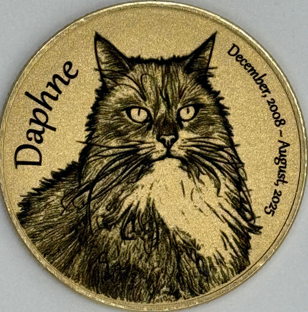 Laser engraved challenge coin