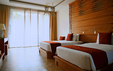 Luxurious Hotel Room_edited_edited_edited.jpg