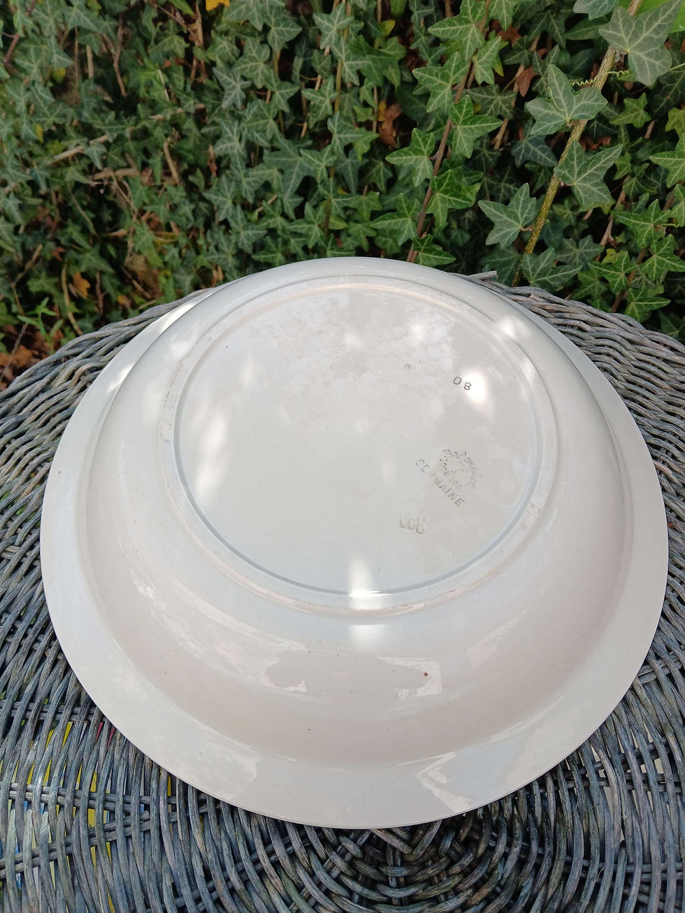 Miniature : Grand plat creux Germaine