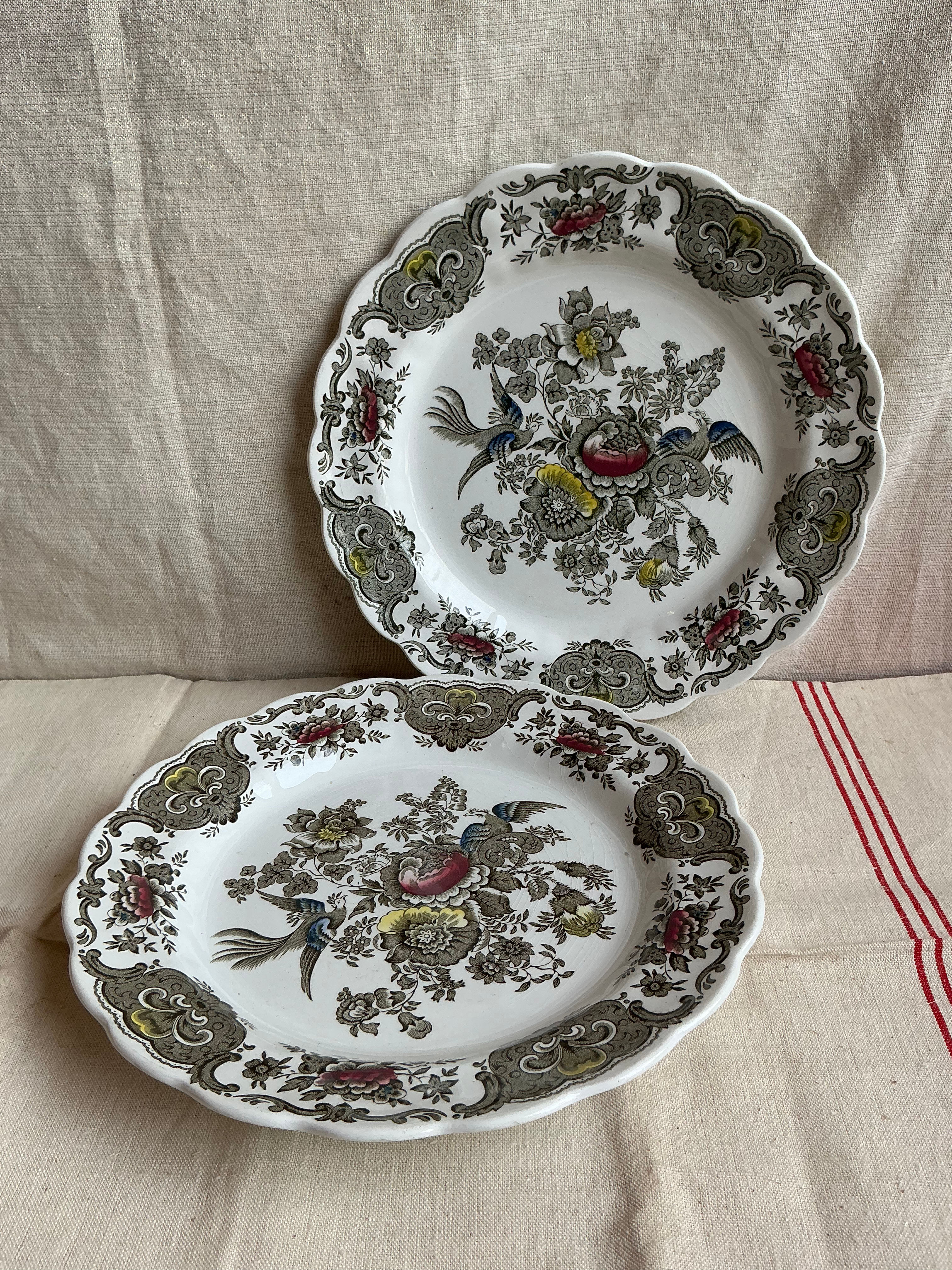 Assiettes Ridgway Staffordshire Windsor 