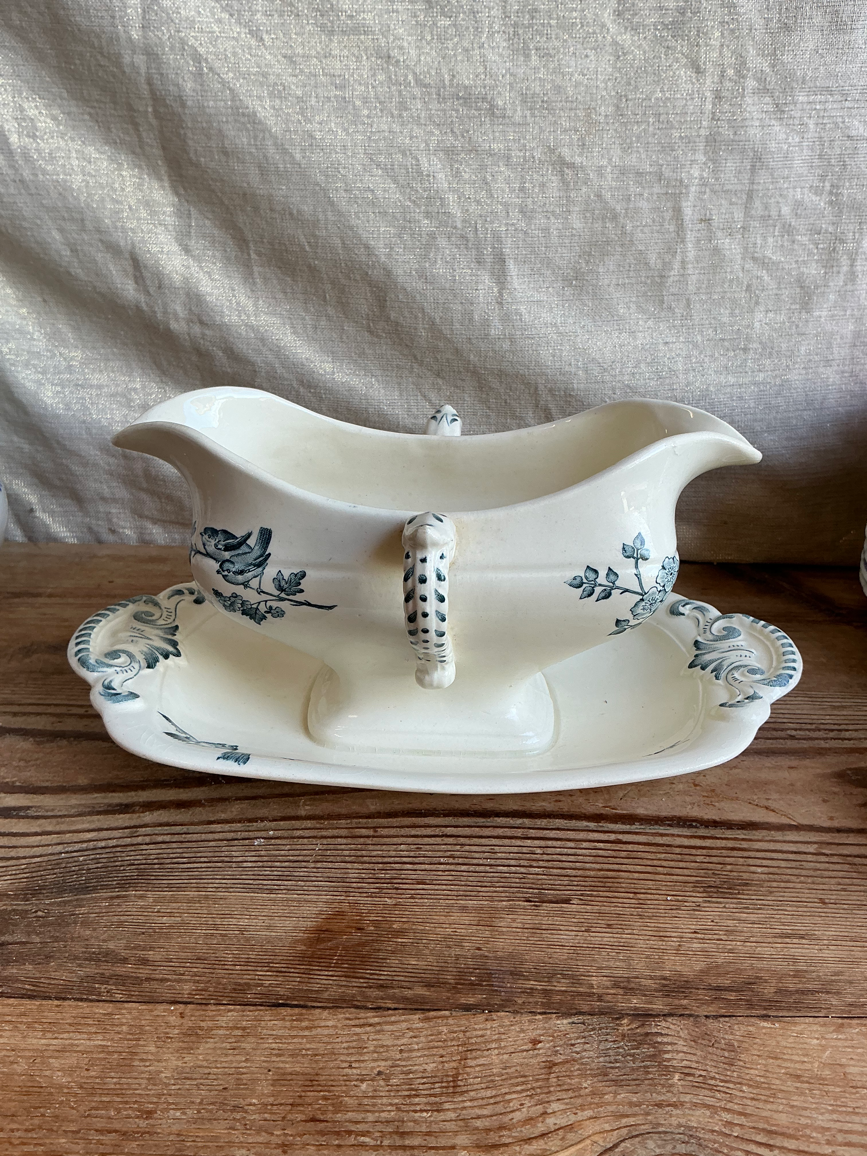 Saucière Fauvette oiseaux