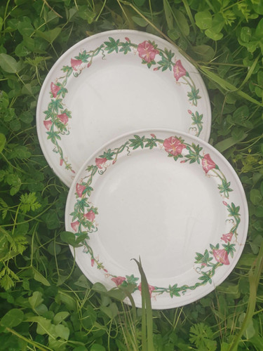 Assiettes plates pyroblan - Arts de la table Assiettes plates pyroblan - Arts de la table