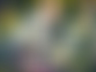 葉°ザー2(パザー2)