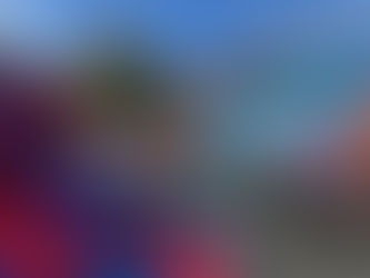 Arlo’s Gamevan Party!