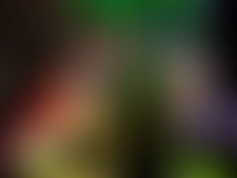 November was AMAZING!