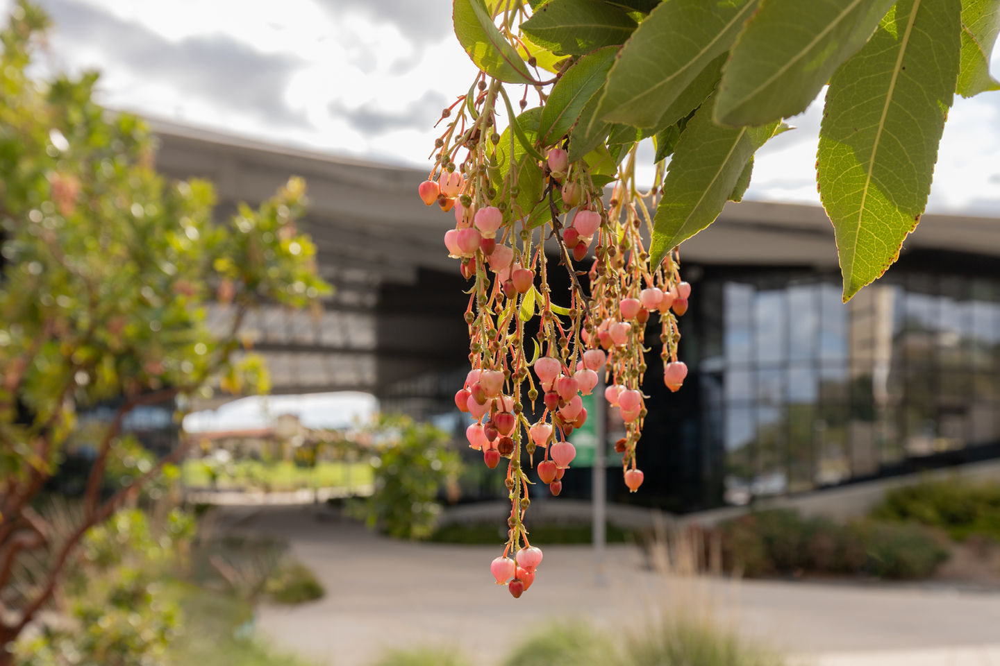 Cal Poly Pomona Student Services Building Building