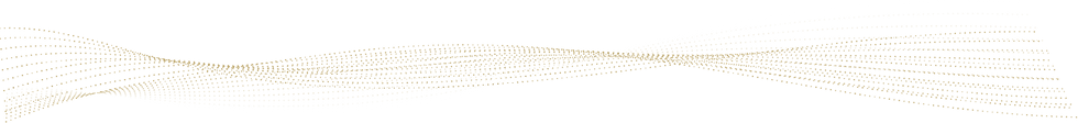 Dot Line 3.png