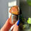 Thumbnail: Polychrome Jasper Mushie