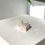 Thumbnail: White Aragonite Calcite Cluster