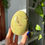 Thumbnail: Green Opal Freeform