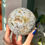 Thumbnail: Sea Jasper Sphere, You Choose
