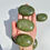 Thumbnail: Jade Palm Stone