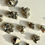 Thumbnail: Peruvian Pyrite