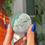 Thumbnail: Sea Jasper Palm Stone, You Choose