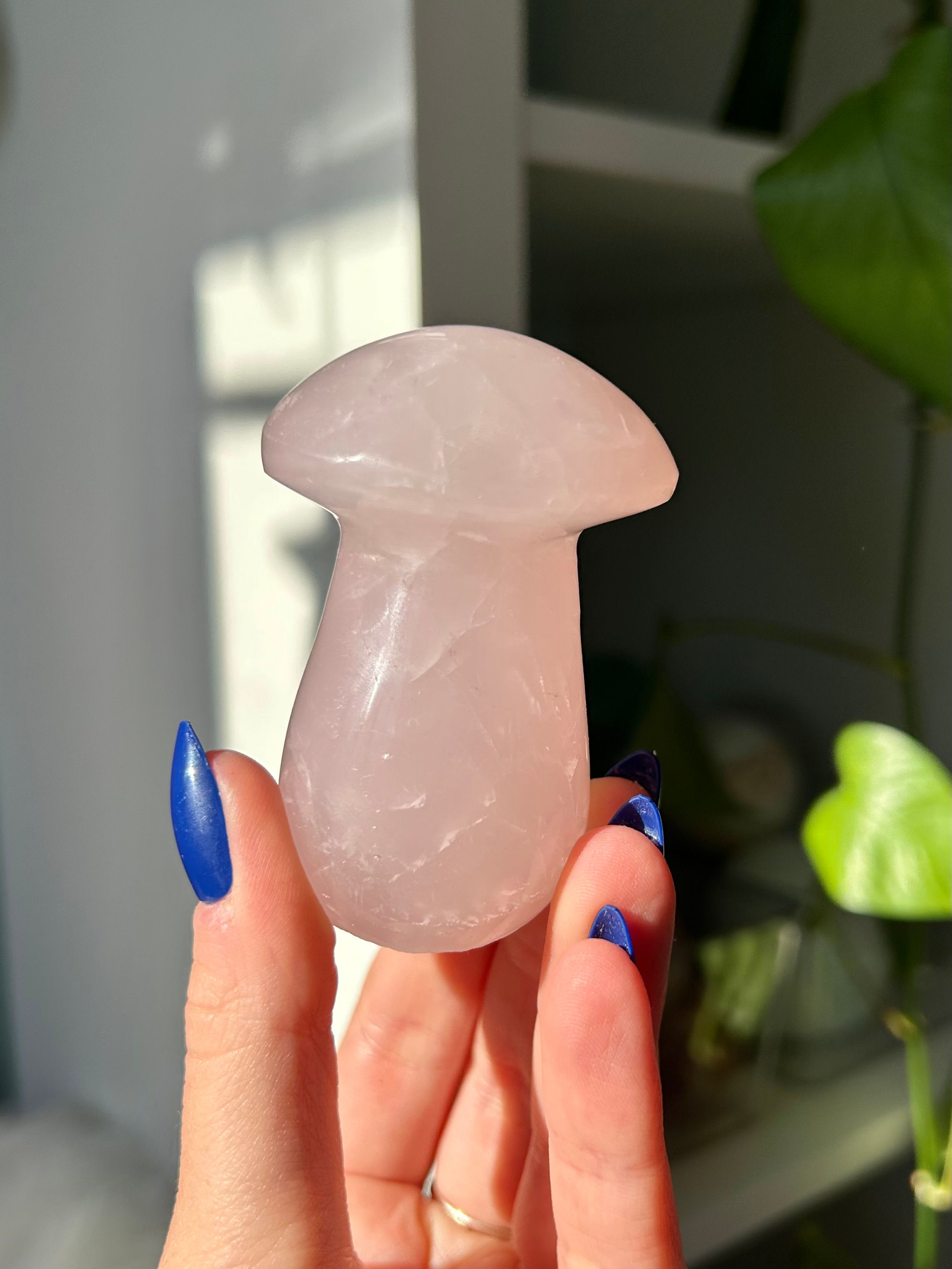 Rose Quartz Mushie