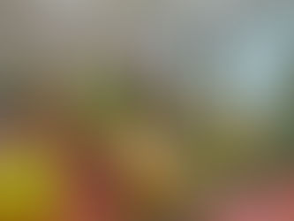 Тиждень безпеки дорожнього руху у нашій школі