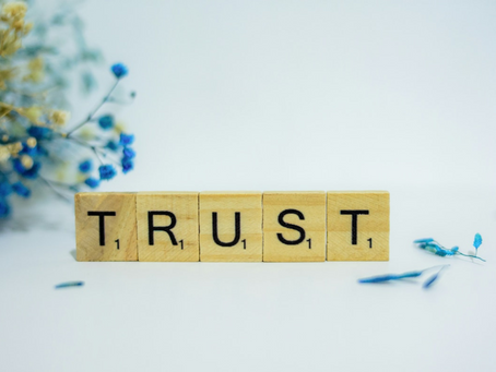 Budget Summary for Small Business Owners with Trusts in 2024