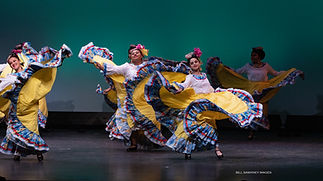 IMG_6365.jpeg