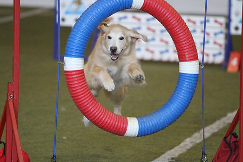 i bs 2012 mon tire.jpg