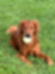 Emmett Ball.jpg