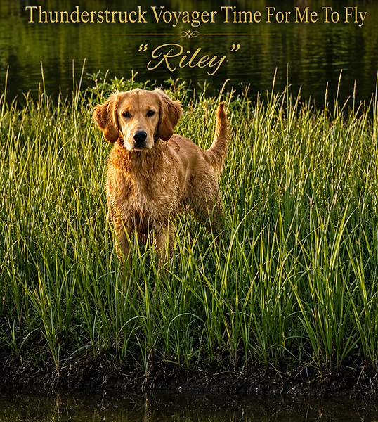 Riley At Coolwater Farms.PNG