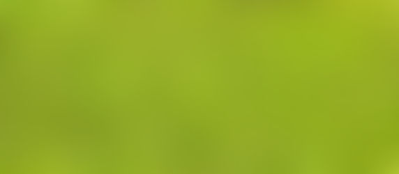 Password Question 33 of 40