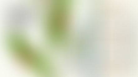 Practical Plant Growth Analysis Galangal Plastochron