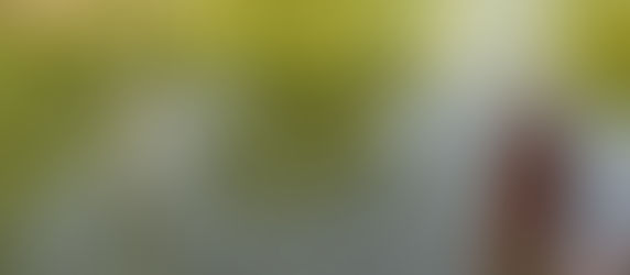 Password Question 36 of 40