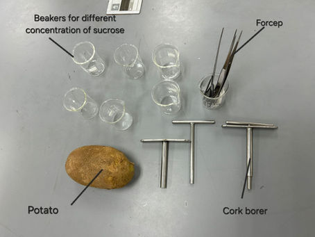 Practical-Psi: Investigating Water Potential of Potato Tissue