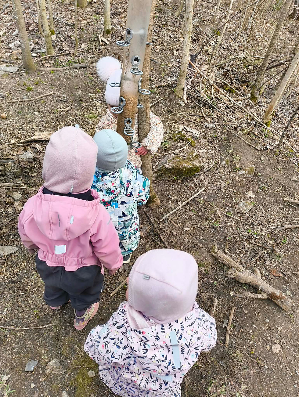 På fuglekafeen er det mye spennende å se på. Vi snakker om hva fuglene spiser og hvordan fuglematen ser ut. Nå som våren har kommet,finner fuglene mat selv i naturen