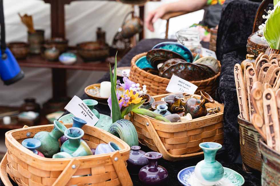 anne lamartina cer.jpg