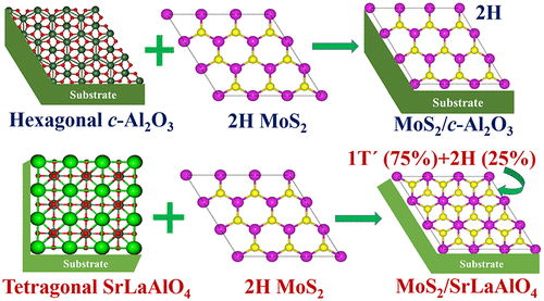 Stabilizing polymorphs of van der Waals solid MoS2 on single crystal oxide substrates