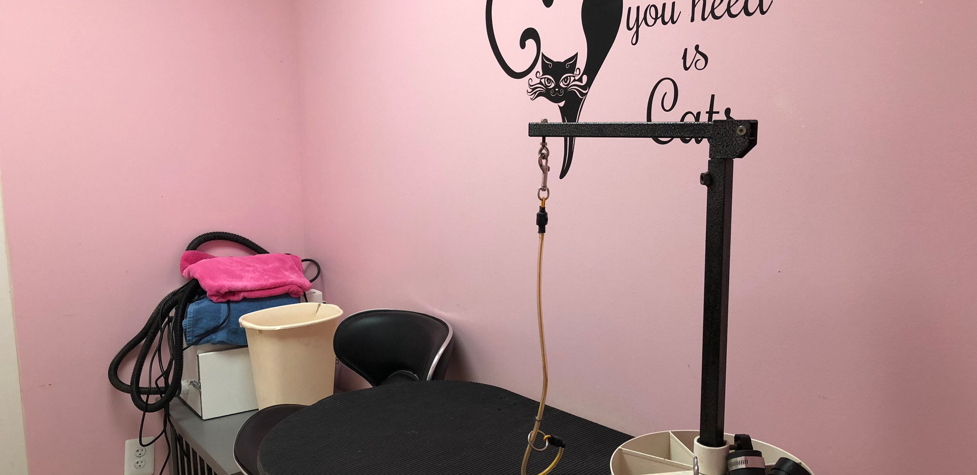 NEW! Cat Grooming Room All Fur Pet Grooming