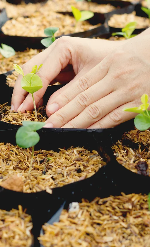 Home Le Jardin Des Espiemonts