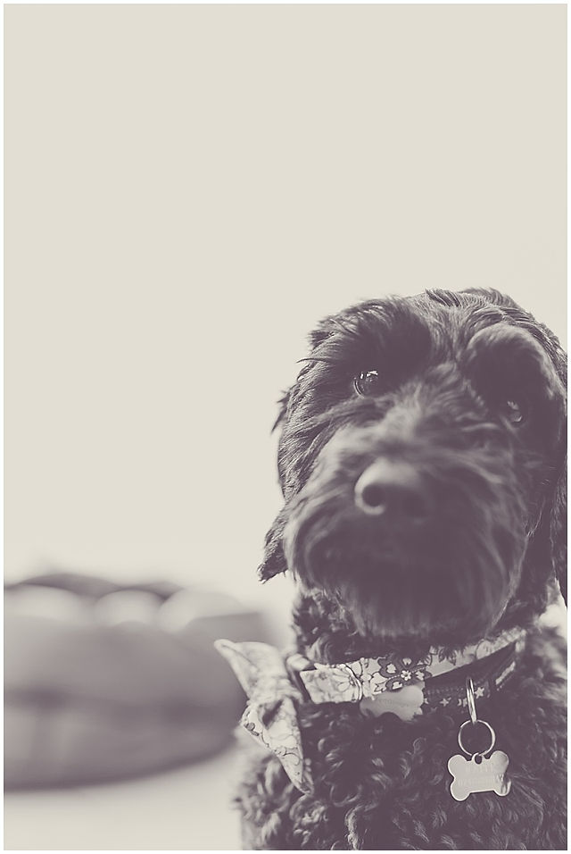 Danielle Boxall Photography_0001